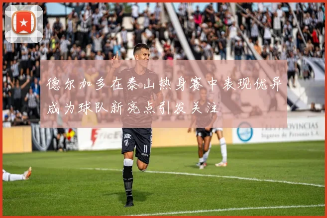 德尔加多在泰山热身赛中表现优异成为球队新亮点引发关注