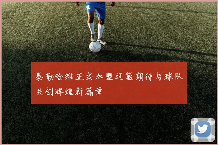 泰勒哈维正式加盟辽篮期待与球队共创辉煌新篇章